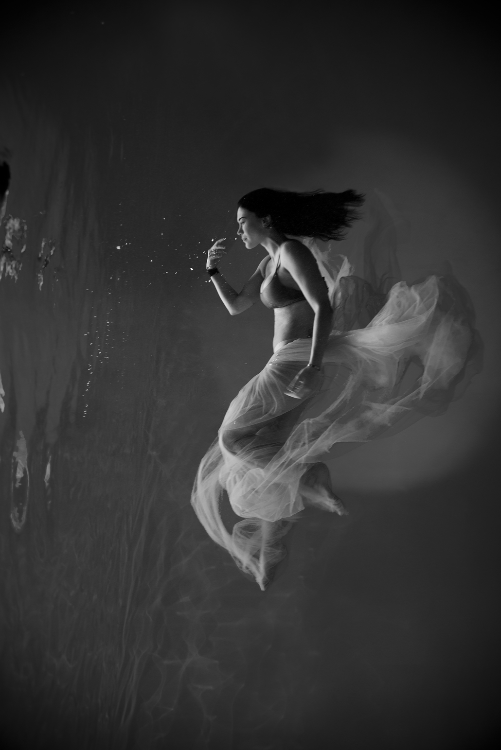  photographe aquatique 