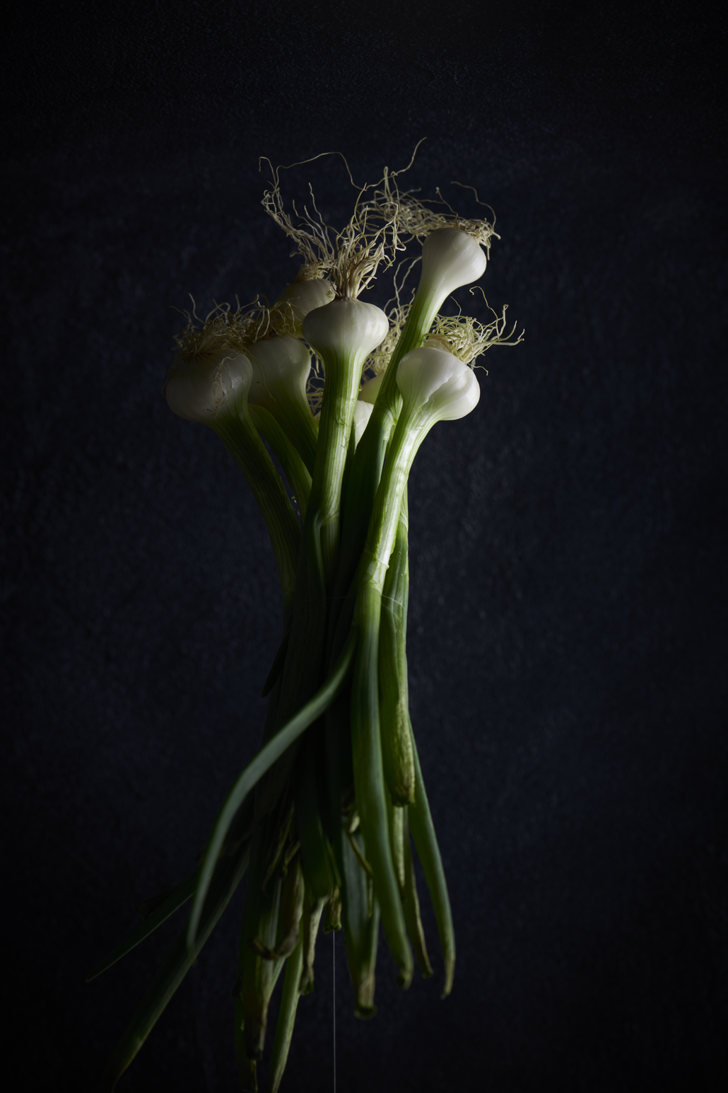  photographe culinaire bordeaux 