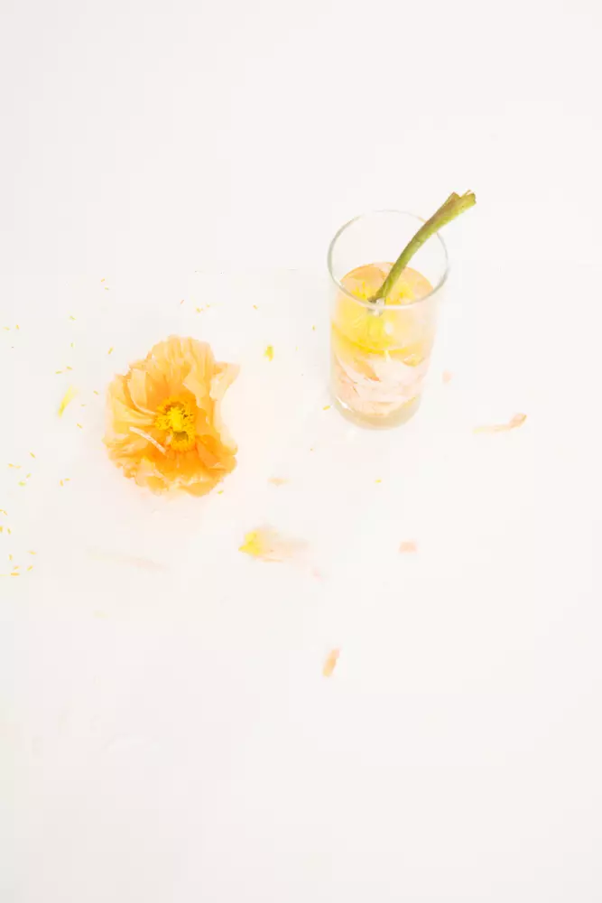  photographe mode enfant bordeaux 