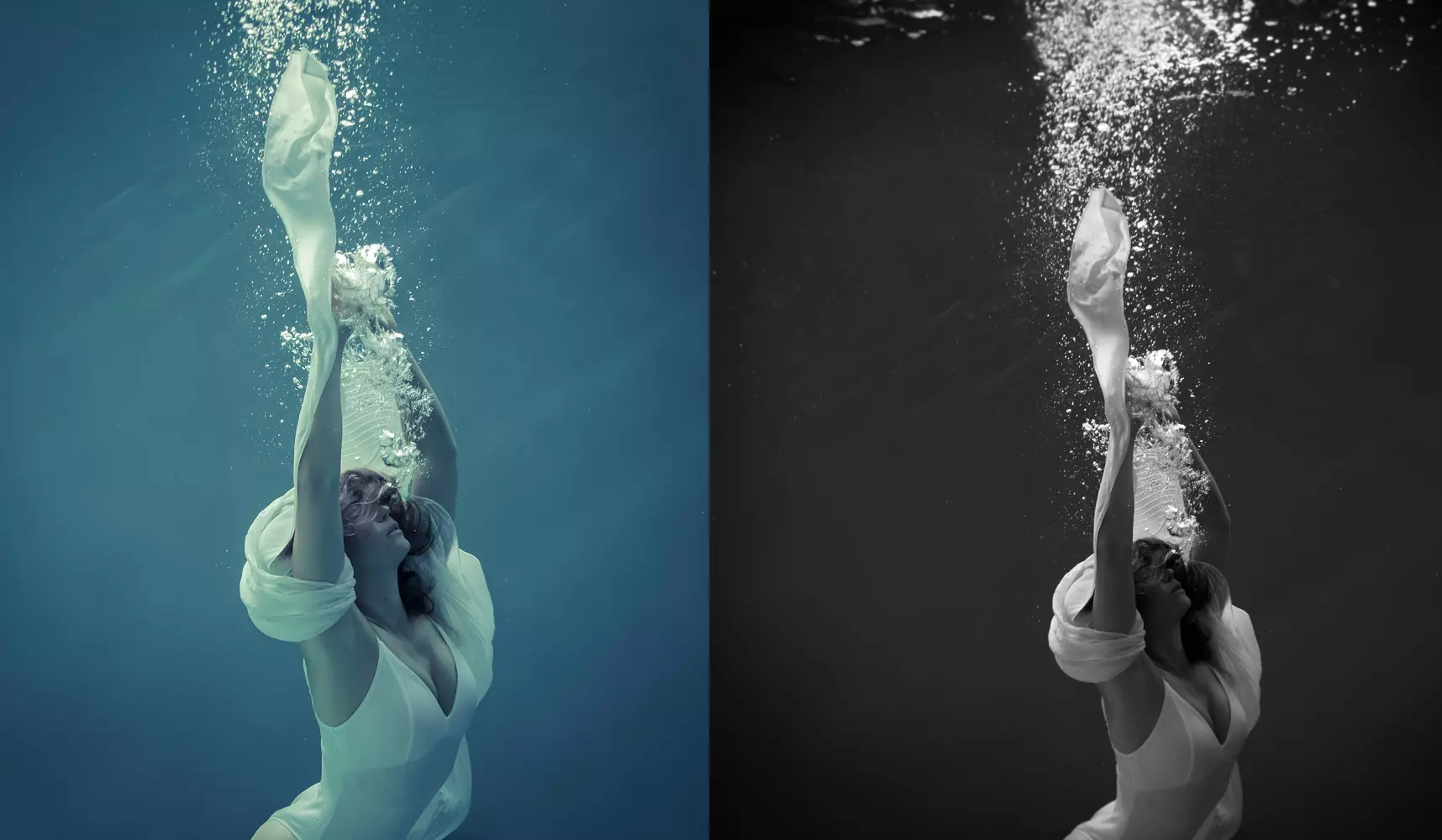  photographe professionnel aquatique 