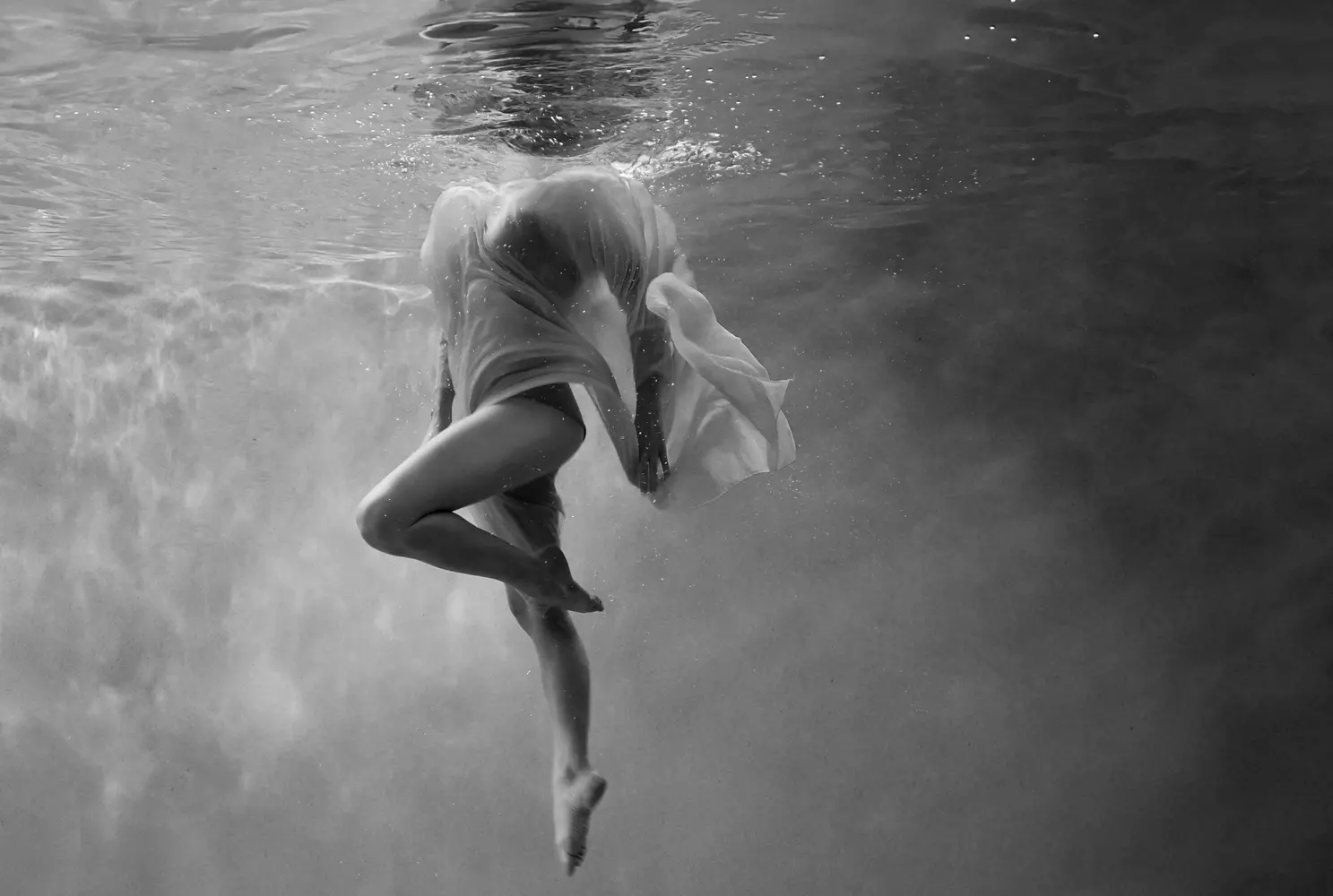  photographe aquatique professionnel 