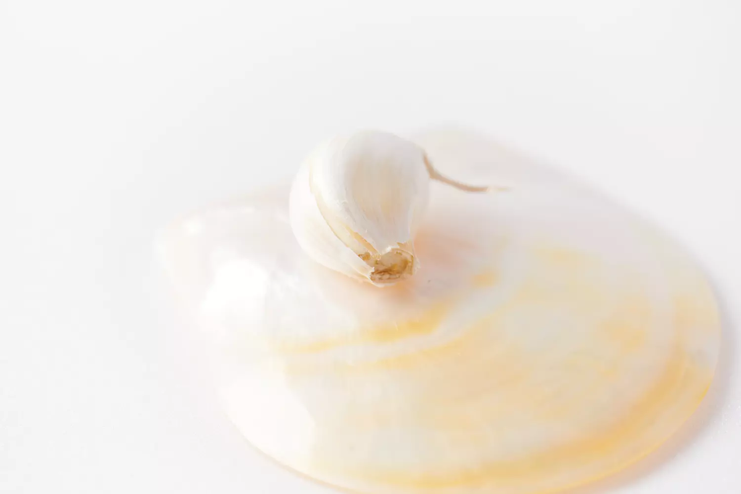  photographe bordeaux culinaire 