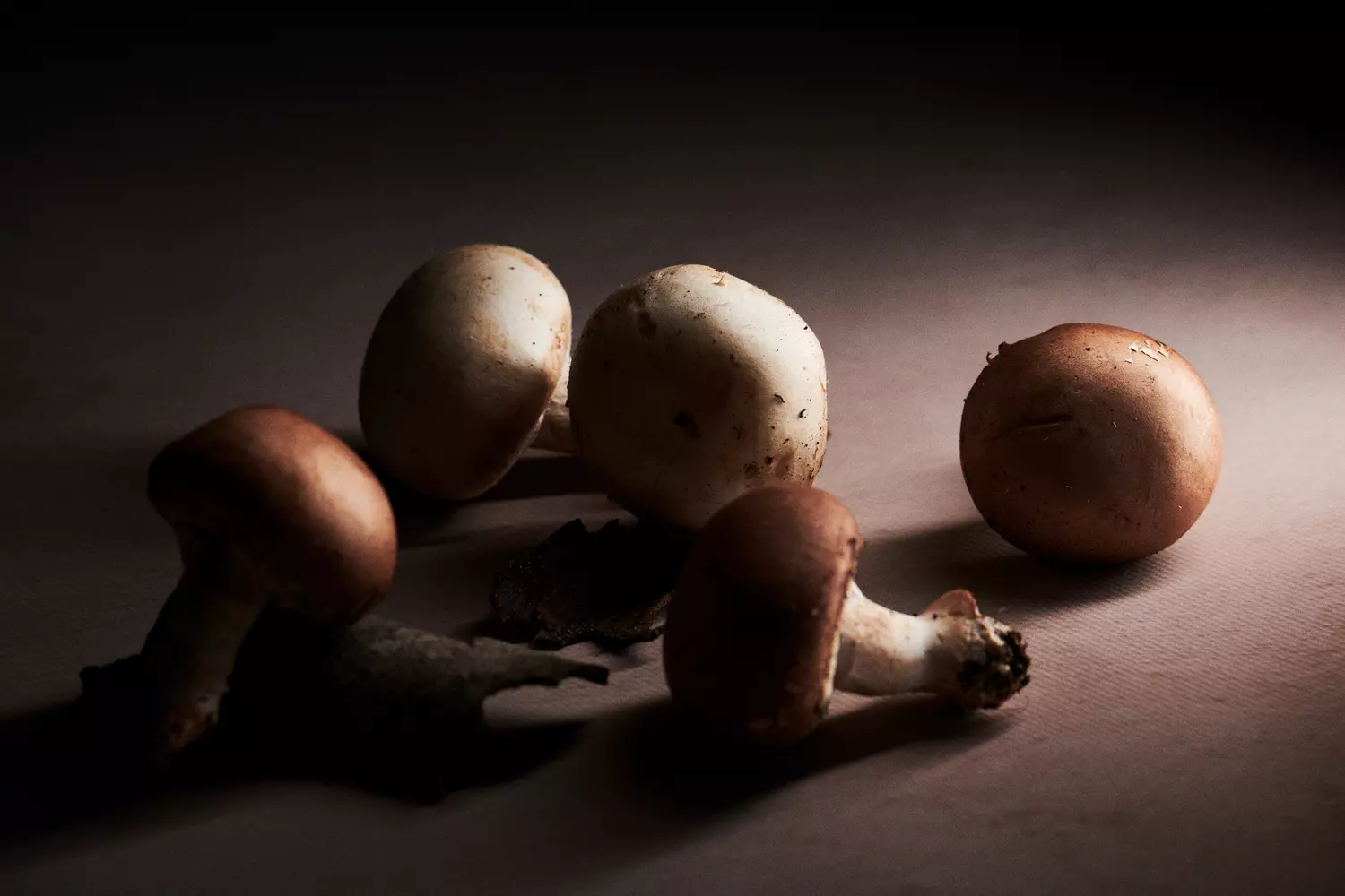  photographe bordeaux culinaire  