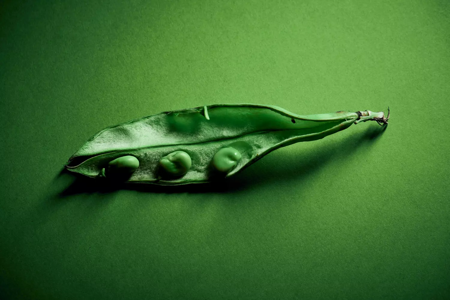  photographe bordeaux culinaire produit brut 