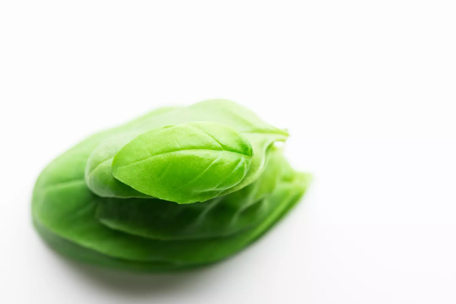  photographe bordeaux culinaire 