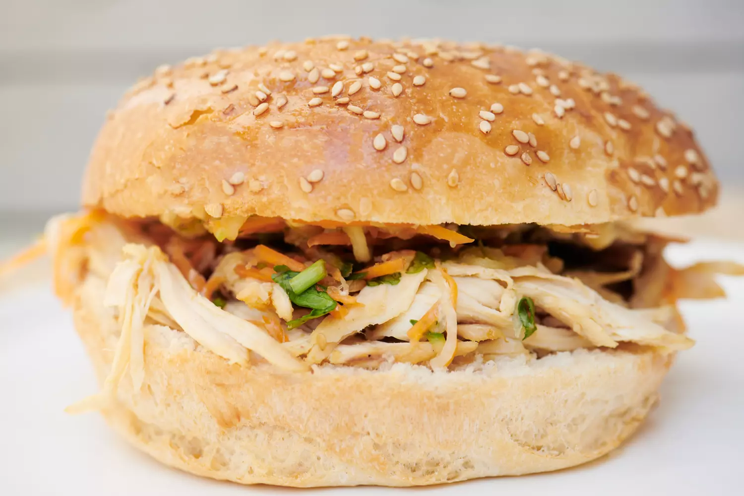  photographe bordeaux burger 