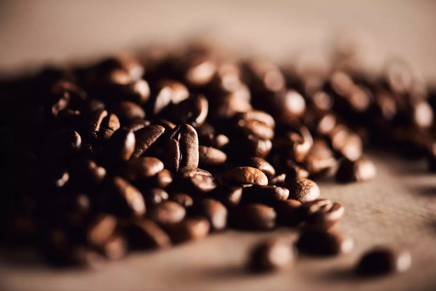  photographe bordeaux culinaire 